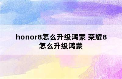 honor8怎么升级鸿蒙 荣耀8怎么升级鸿蒙